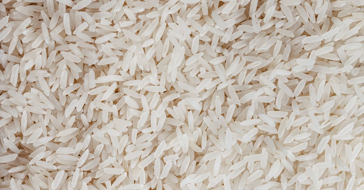 découvrez les bienfaits du régime à base de riz, une alimentation saine et équilibrée pour perdre du poids et améliorer votre digestion.