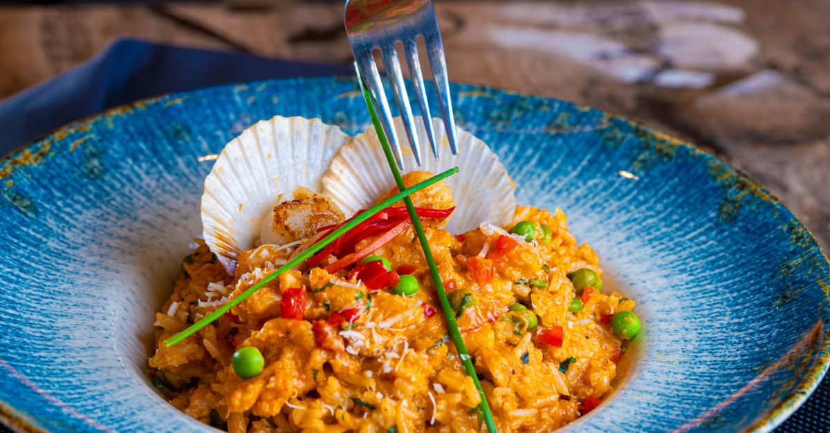 découvrez tout sur les coquilles saint-jacques : recettes savoureuses, conseils de préparation et bienfaits pour la santé.