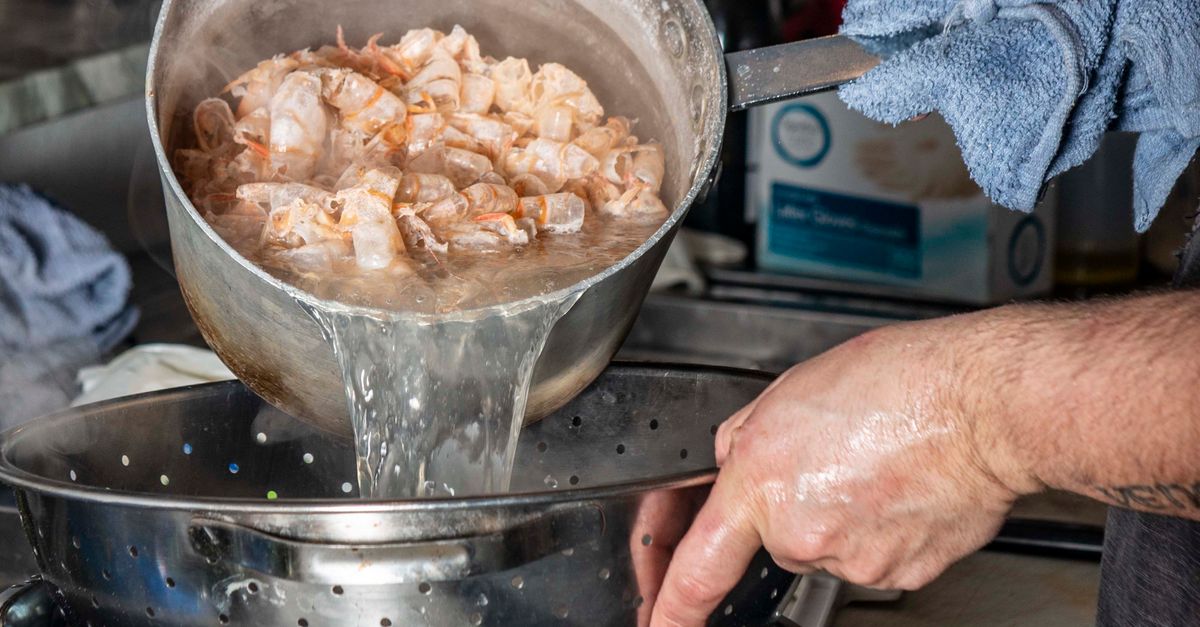 découvrez tout sur les crevettes : recettes, bienfaits pour la santé, variétés et conseils de préparation pour savourer ces délicieux fruits de mer.
