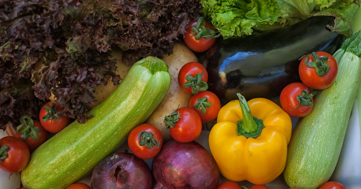 découvrez la salade d'aubergines sicilienne, un mélange savoureux d'aubergines grillées, tomates fraîches, herbes aromatiques et huile d'olive, parfait pour une entrée méditerranéenne légère et gourmande.