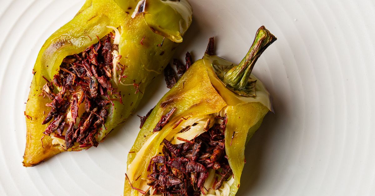 découvrez notre recette facile de poivrons farcis, un plat savoureux et coloré parfait pour un repas équilibré et gourmand.