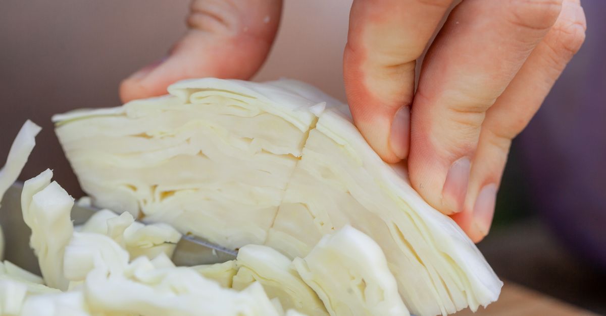 découvrez notre recette savoureuse de lasagnes végétariennes au chou vert, parfaites pour un repas sain et gourmand.