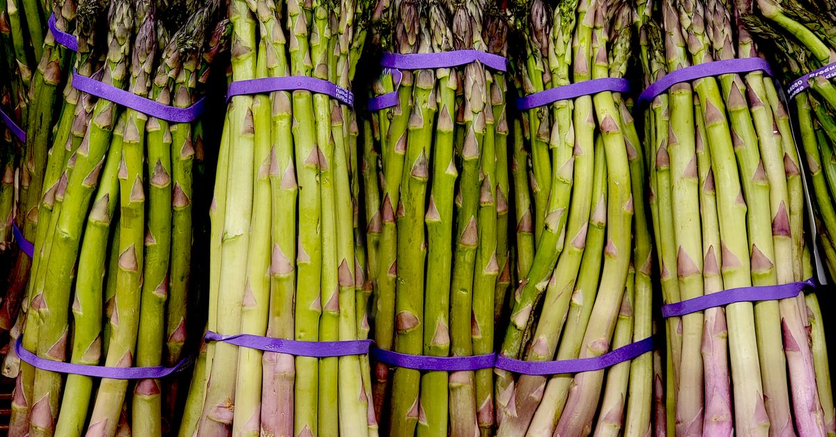 Accueil 12 découvrez les meilleures techniques pour cuisiner les asperges : astuces, recettes savoureuses et conseils pour sublimer ce légume printanier.