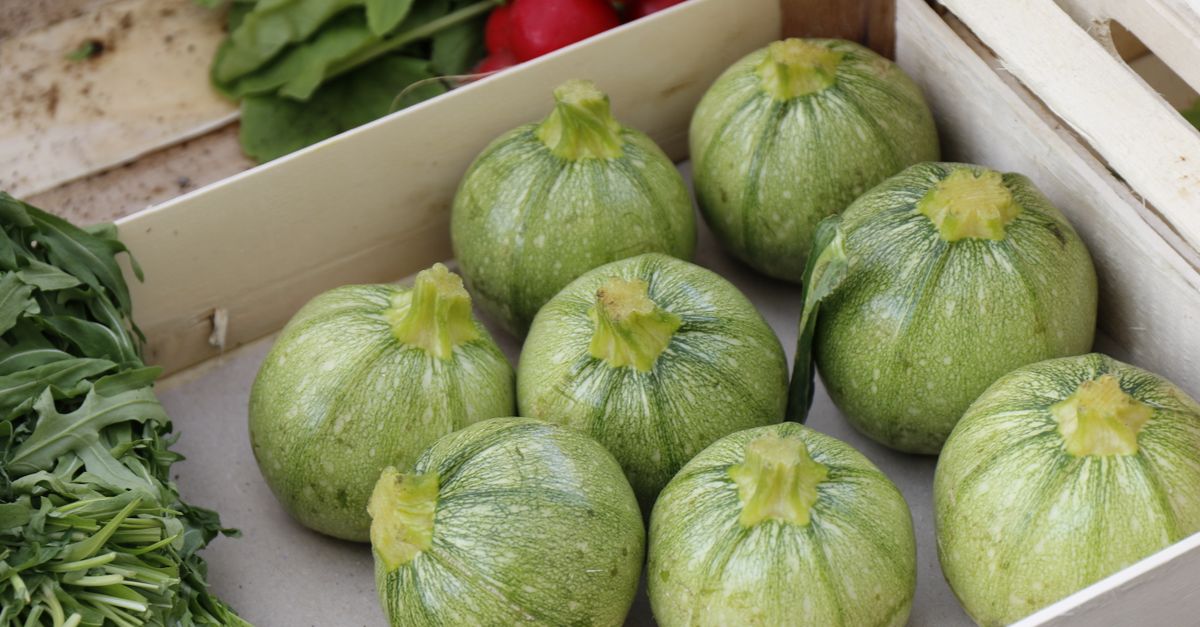 Accueil 14 découvrez notre recette savoureuse de courgettes farcies, facile à préparer et parfaite pour un repas sain et gourmand.