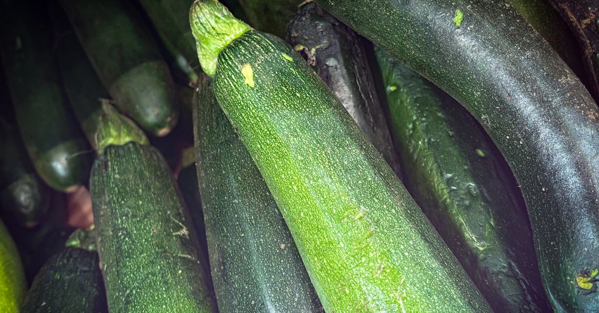 Accueil 14 découvrez notre gratin de riz aux courgettes, une recette savoureuse et facile à préparer, parfaite pour un repas sain et gourmand.