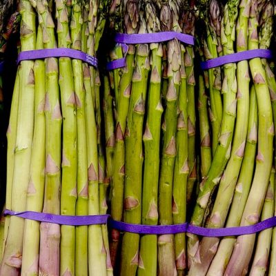 découvrez les meilleures techniques pour cuisiner les asperges : astuces, recettes savoureuses et conseils pour sublimer ce légume printanier.
