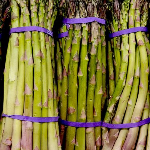 Comment cuire les asperges et préparer des recettes faciles