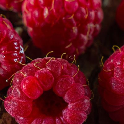 découvrez la recette parfaite du raspberry spritz, un cocktail rafraîchissant à base de framboises, idéal pour vos soirées d'été.