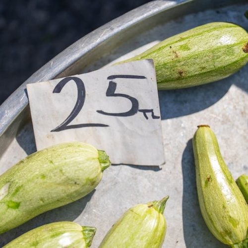 Recette facile de courgettes farcies au thon pour un repas savoureux