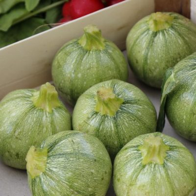 découvrez notre recette savoureuse de courgettes farcies, facile à préparer et parfaite pour un repas sain et gourmand.