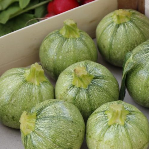 Courgettes rondes farcies au poivron, tomate, chorizo et œuf : une recette savoureuse et colorée