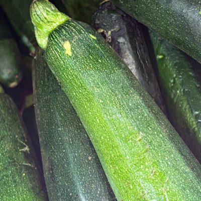découvrez notre gratin de riz aux courgettes, une recette savoureuse et facile à préparer, parfaite pour un repas sain et gourmand.